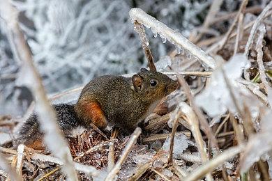 《GTA6》跳票后 IGN整理了一份今年剩下时间要发售的游戏