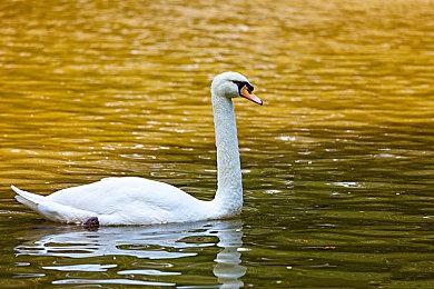 《最终幻想7：重生》试玩版更新将改善图形质量