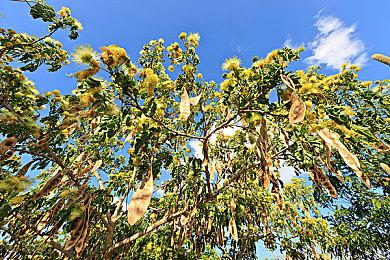 SEGA多人射击新游《HYENAS》封闭B测8月31日启动